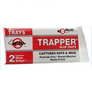 Plancha adhesiva TRAPPER RAT